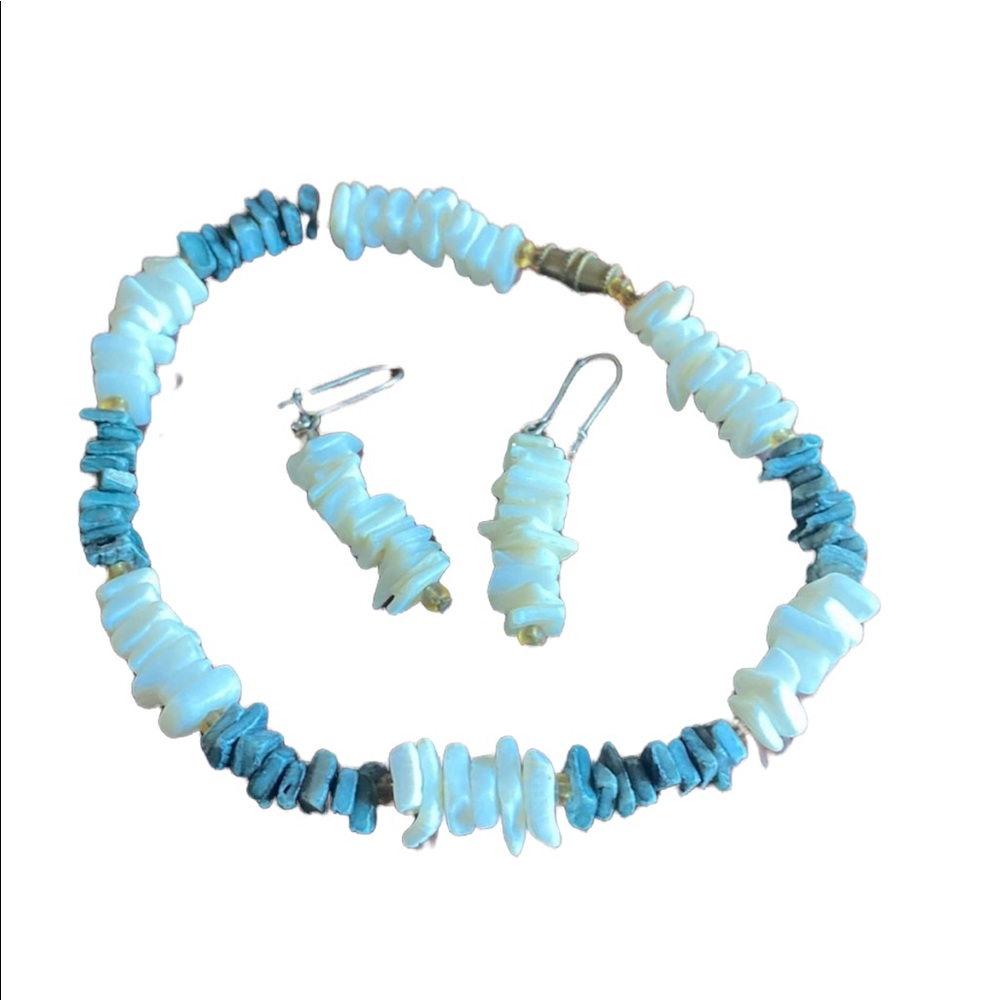 White and Charcoal Colored Shell Anklet and Earrings Set